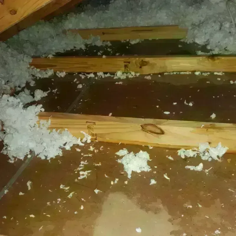 Attic Water Damage in Runge, TX