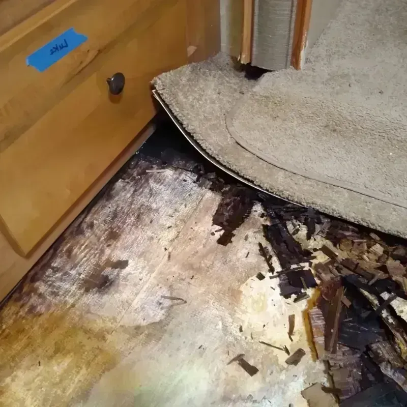 Best Wood Floor Water Damage Service in Runge, TX